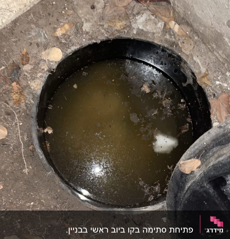 בור ביוב פתוח עם מים עומדים